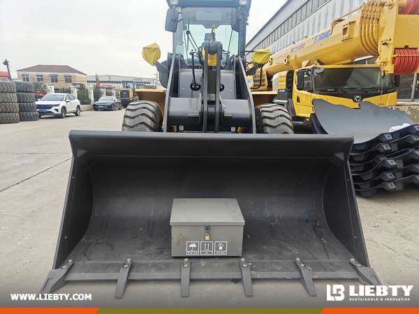 Algeria - 1 Unit XCMG LW300FN Wheel Loader